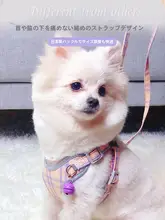 犬用ハーネス型リード【小型犬・テディ・ビション・ペット用品】