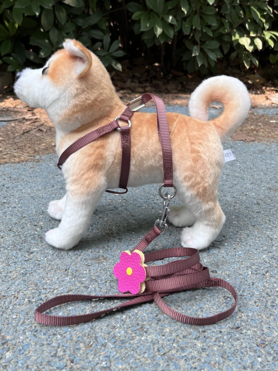 猫飼いが買ってよかったもの・悪かったもの正直に言う｜夏用ハーネスリードの実際の使い心地徹底解説