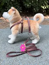 可愛いデザインの小型犬用ハーネス【散歩用・リード付き】