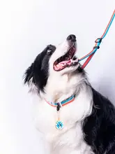 XPAWS Cross 犬用カラー【ナイロン製・軽量・調節可能・中型犬用・頑丈な迷子札取り付け可】