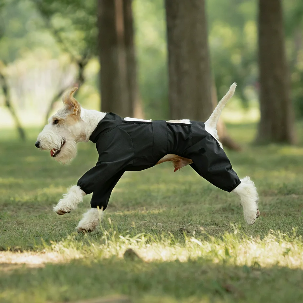 犬のお散歩グッズをコスパ良く揃える方法は？この1品で90%の雨の日を救う