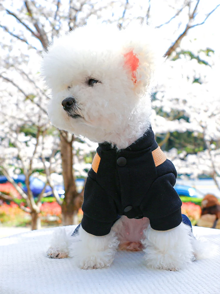 小型犬用ハーネス付きサスペンダーデニムパンツ：春秋シーズンの散歩に最適な実用性を実証