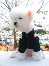 小型犬用ハーネス付きサスペンダーデニムパンツ【春秋用・テディ・ポメラニアン・ビション・ベビー犬用】