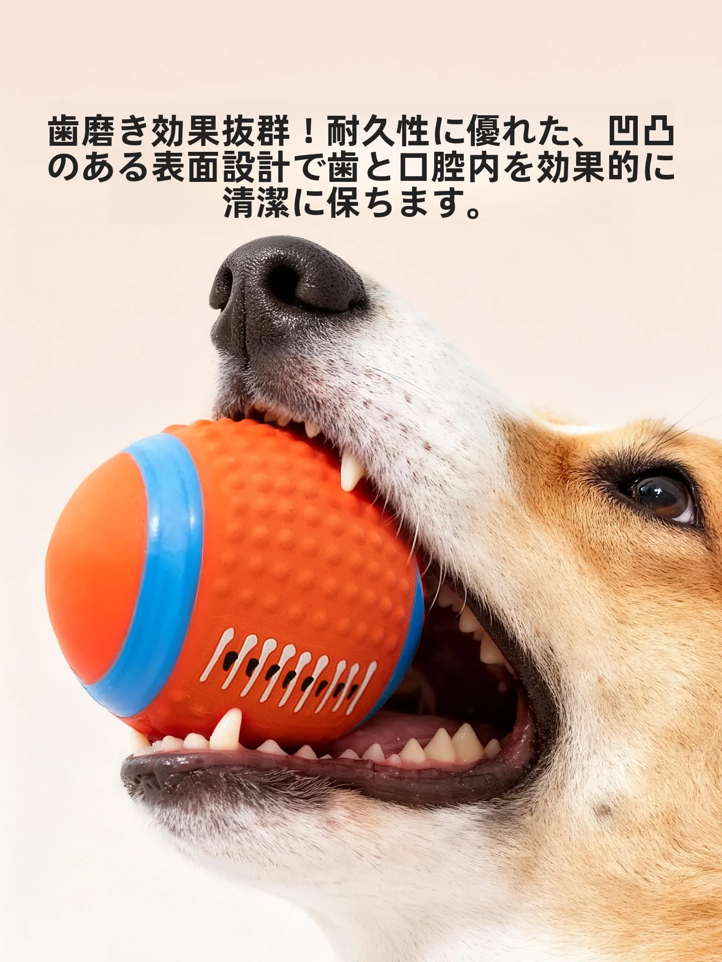 hipidog 犬用玩具ボール：耐噛性と発声機能で長く遊べるトレーニング用おもちゃ