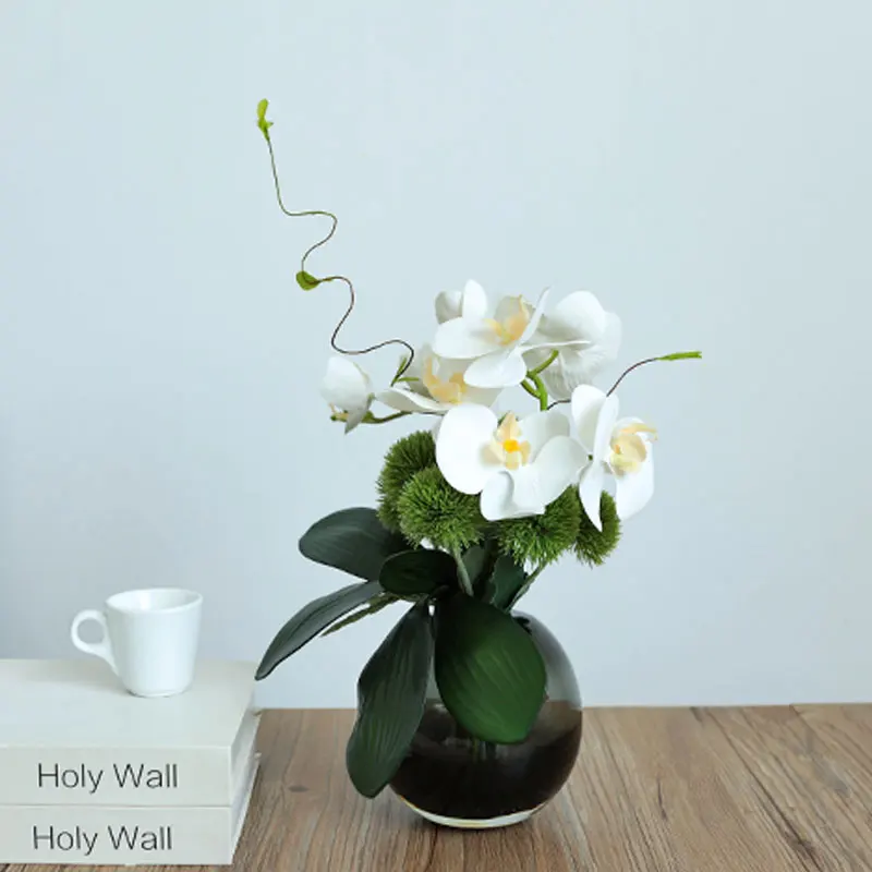 おしゃれな部屋に観葉植物を飾るなら、この1品が今最もおすすめ？