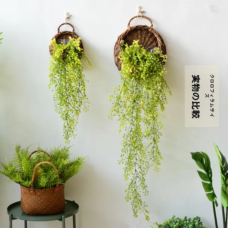 韓国カフェ風インテリアを再現するための壁掛け植物バスケット