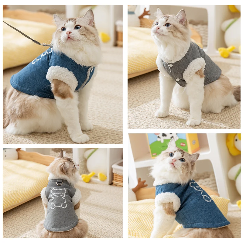 わんこ服で悩むなら、この1着が本当に“通気性”と“おしゃれ”を両立できる？