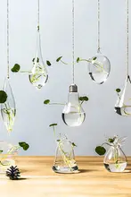 壁掛け透明水培ガラス花瓶【現代的・観葉植物用・小型】