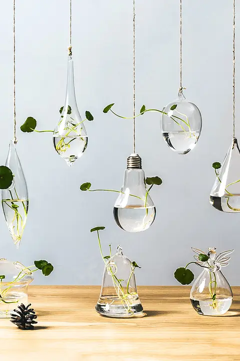 壁掛け透明水培ガラス花瓶【現代的・観葉植物用・小型】