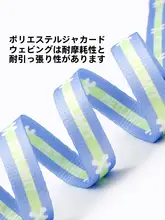 小型犬用リード【テディベア幼犬対応・快適な散歩用・軽量デザイン】