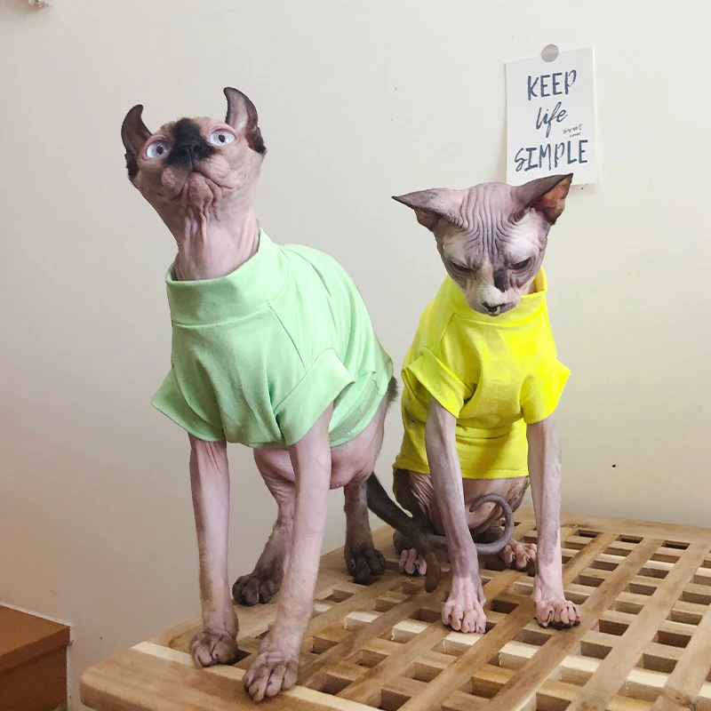 春夏用スフィンクス猫用薄手モダールコットンTシャツ：ペット猫飼いやすいデザインの実 用性を検証