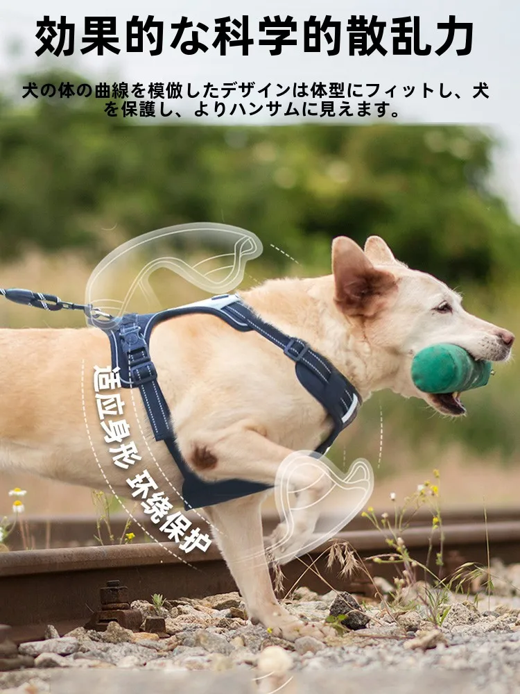 犬のお散歩グッズをコスパ良く揃える方法 - 大型犬用胸部ハーネス付きリードの選定基準