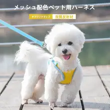 通気性のある犬用ハーネスリード【反射機能付き・コントラストデザイン】