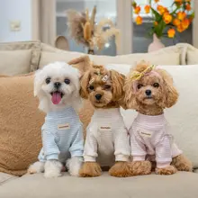 GINGERAIN 小型犬用オーガニックコットンストライプセーター【保温・アレルギー対応・4色展開】