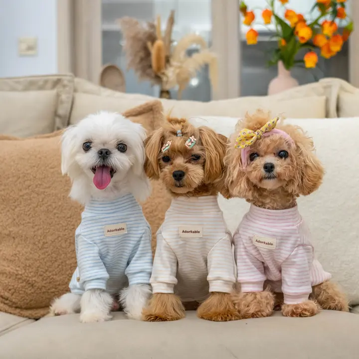 GINGERAIN 小型犬用オーガニックコットンストライプセーター【保温・アレルギー対応・4色展開】