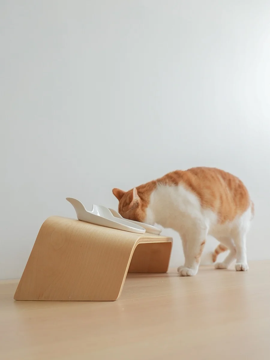 猫用陶器食器台：傾斜設計で安全かつ衛生的な食事環境を実現