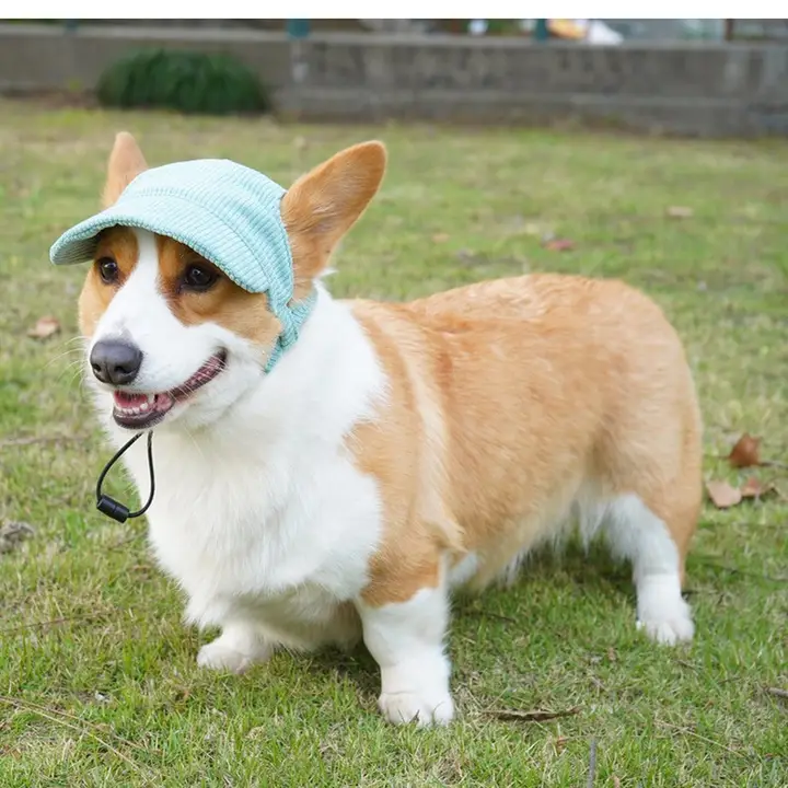 犬用 野球帽【通気性・耳出しデザイン・ペット用】