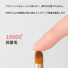 二頭唇ブラシ【伸縮可能・携帯に便利・プロ用・キャップ付き】