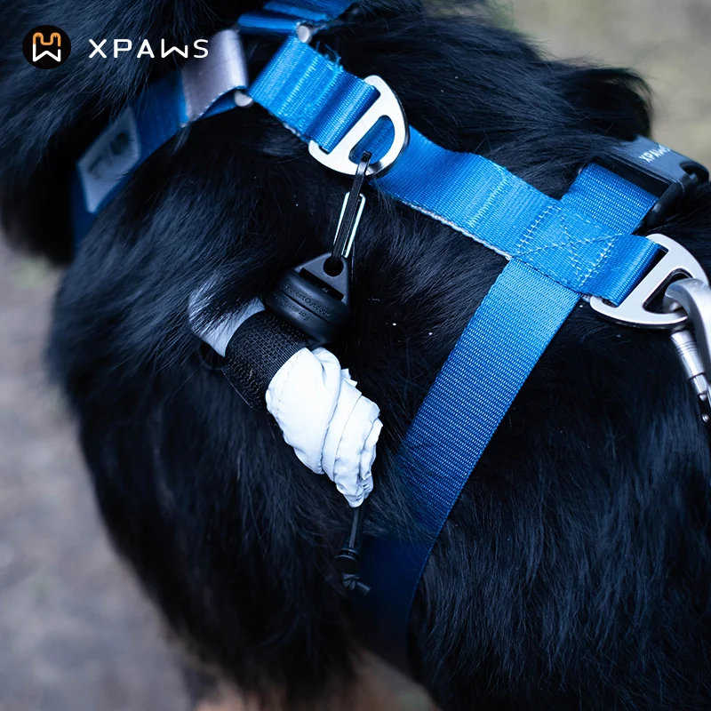 胸部ハーネス型リード：中小型犬向けの散歩サポートシステム