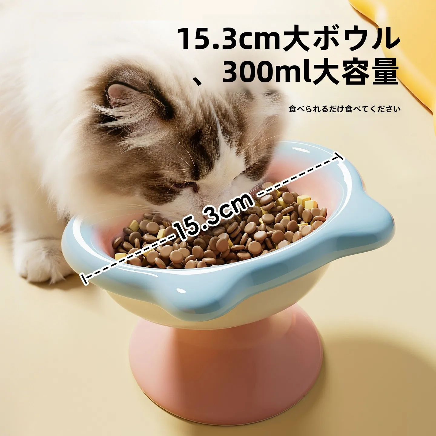 陶製の猫用深皿：大口径・高脚設計で水飲みやすさと衛生性を実現