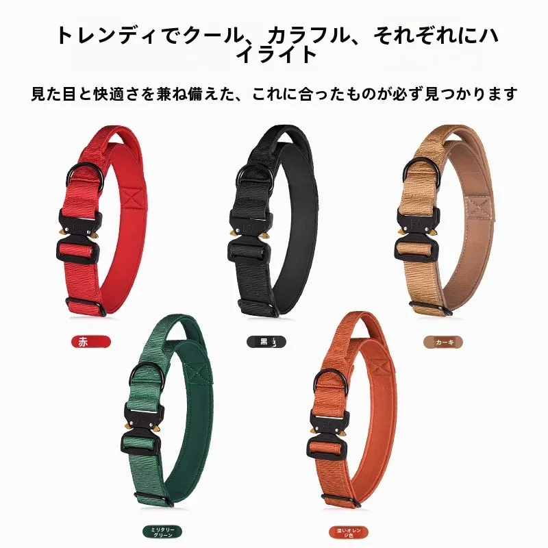 犬のお散歩グッズをコスパ良く揃える方法 - 中型・大型犬用首輪とリード付きの選定基準