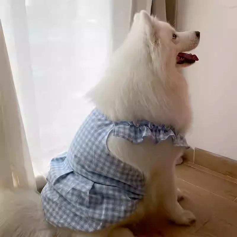 ラブラドールレトリバーにぴったりの夏の服は、どう選ぶ？
