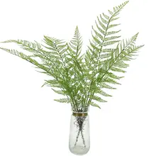 大型植物 パームリーフ 室内 レストラン 景観 装飾 グリーン植物 マーシュファーン