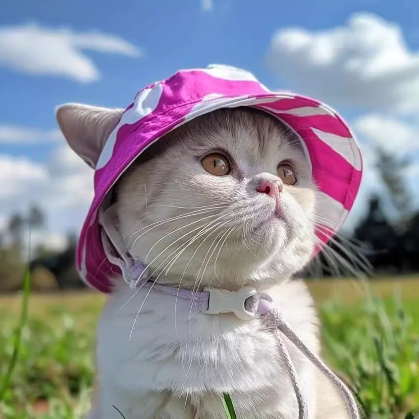 猫耳付きデザインキャップは、どんな場面で活躍するの？