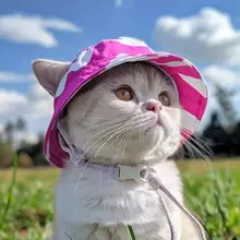 かわいい猫耳付き夏用日焼け防止キャップ【犬・猫用・釣り帽子・デザイン】