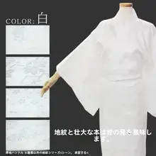 和装の下に小紋のロング着物を着た日本の伝統的な着物