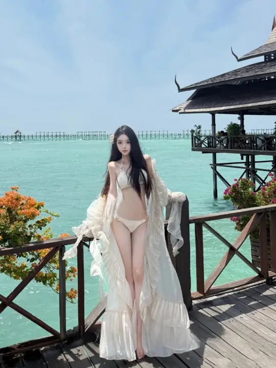 ビキニ2点セット【高級感・セクシー・シースルーカバー付き・ビーチバカンス用】