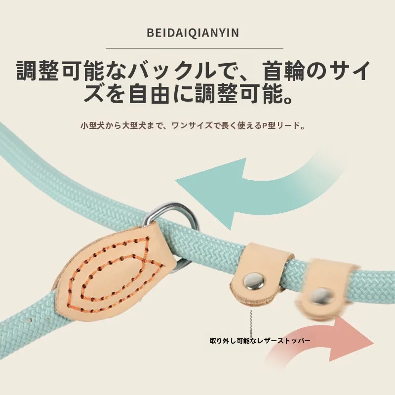 犬のお散歩グッズを コスパ良く揃える方法｜防脱落設計とサイズ選びの徹底解説