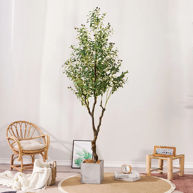 インテリア買い物リストに加えるべき植物は？オリーブの木の選び方と配置ガイド