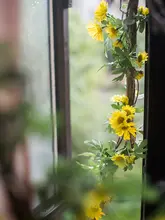造花 ツル植物 サンビタリア 垂れ下がる 這う 壁掛け インテリア デコレーション フラワーアレンジメント