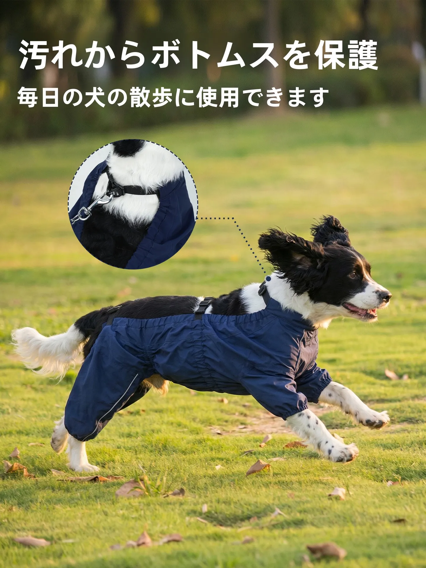 犬用防水ハードシェルジャケット：春夏用防風・保温機能と機洗い対応の実用性