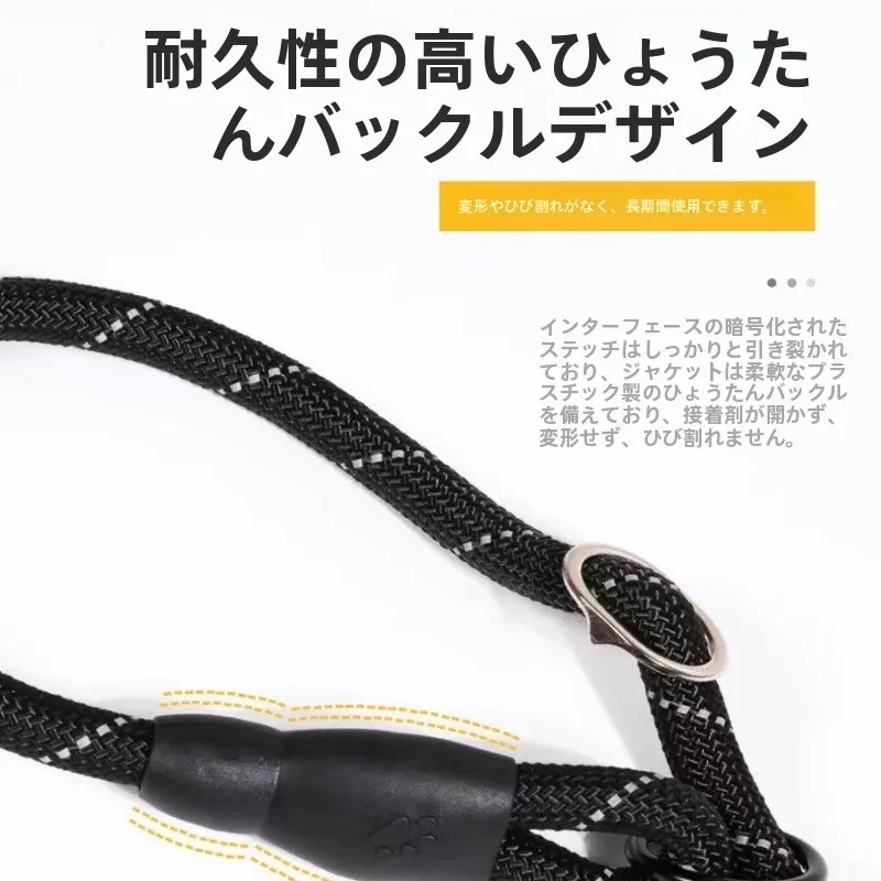 犬のお散歩グッズをコスパ良く揃える方法｜多機能リードでシーン別に活用する完全ガイド