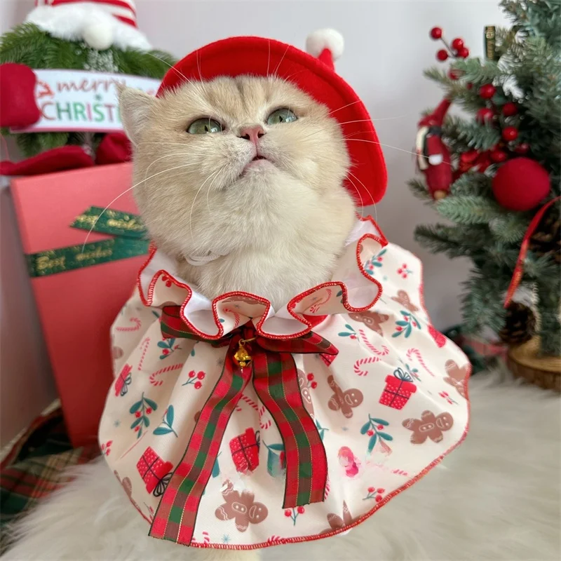クリスマスに犬に着せたい「サンタ服」は、どう選ぶ？