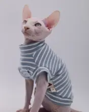 スフィンクス猫 服 春夏 薄型 綿 無毛 ディヴォン