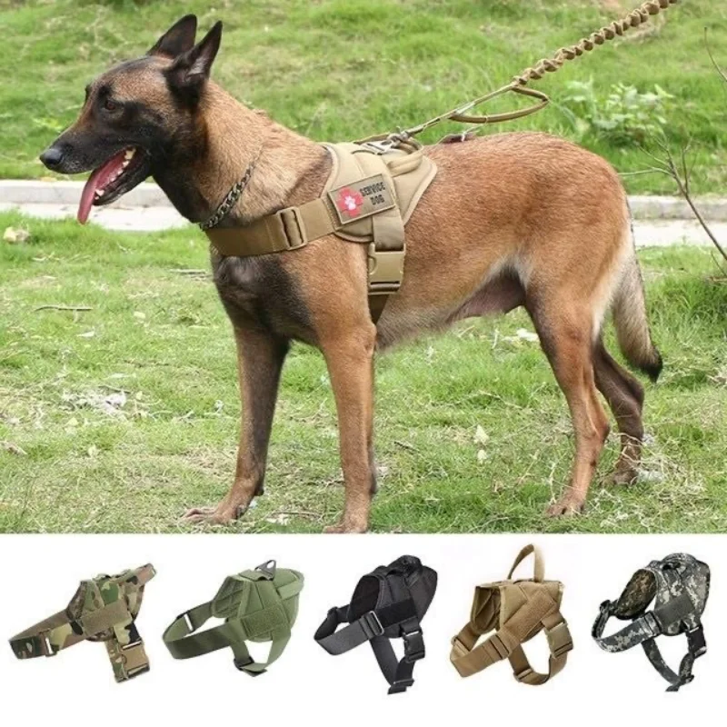犬のお散歩グッズをコスパ良く揃える方法　徹底解説・選び方のポイント