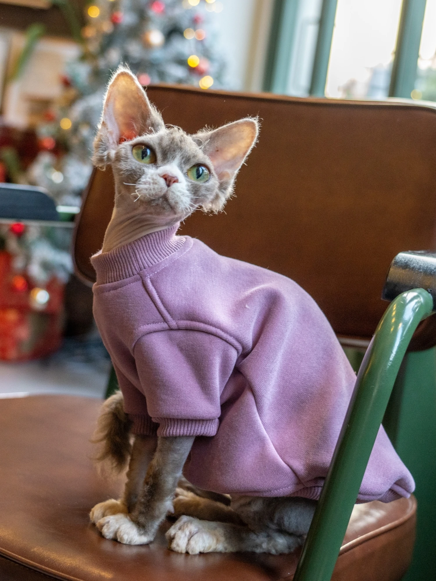 猫飼いが買ってよかったもの・悪かったもの正直に言う | 無毛猫対応フリースコットンインナーのフィット感とサイズ選定
