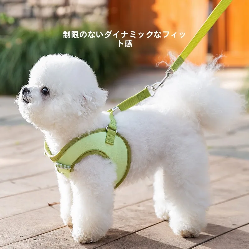 中小型犬用ハーネス型リード：トイプードルに最適なかわいいデザインと実用性のバランス