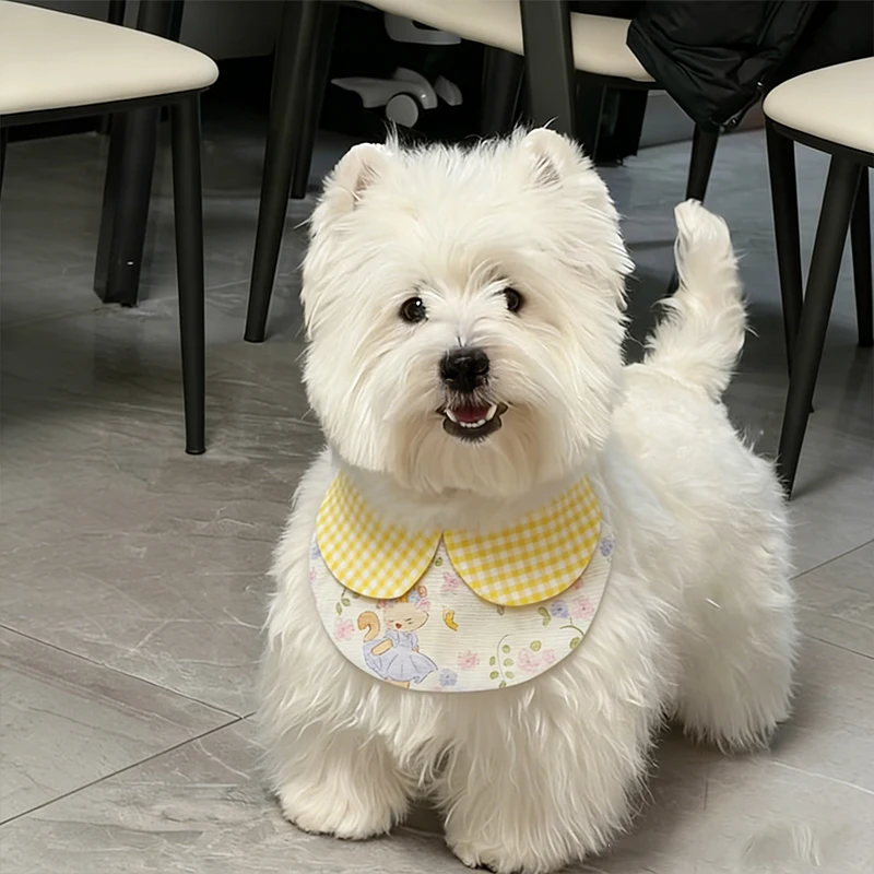 愛犬用食事エプロン：ペット用品ブランドPETaのデザインと洗浄性を徹底検証