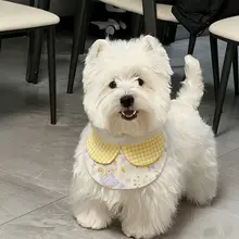 愛犬用食事エプロン【可愛いデザイン・高い洗浄性・小型犬用】（セットアップ対応）
