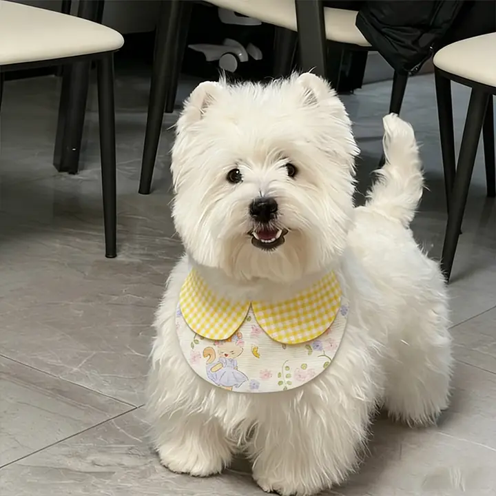 愛犬用食事エプロン【可愛いデザイン・高い洗浄性・小型犬用】（セットアップ対応）