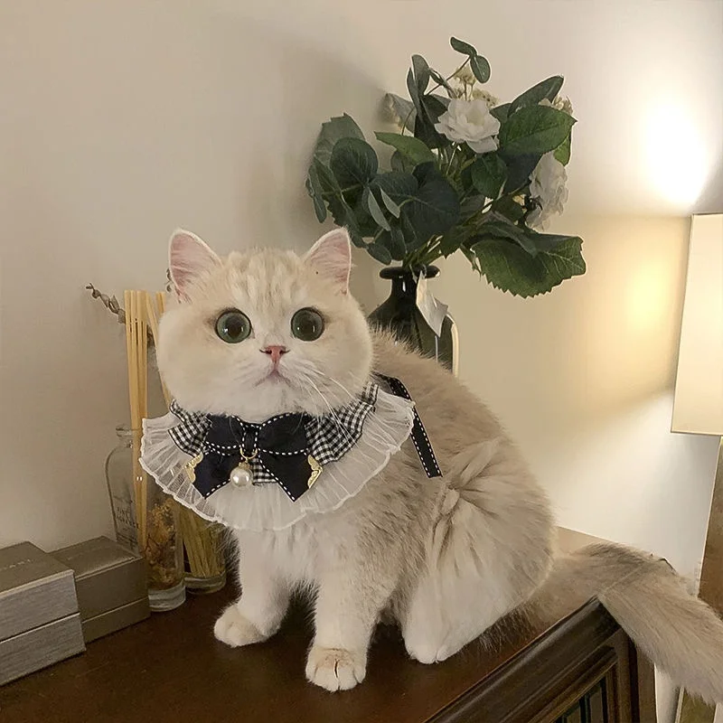 可愛い猫用首輪：プリンセス風スカーフ装飾と鈴付きのよだれかけ