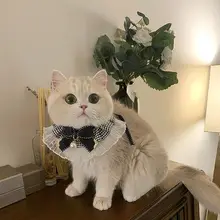 可愛い猫用首輪【プリンセス風・スカーフ装飾・鈴付き・口水キャッチャー】