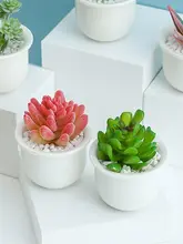 多肉植物用 陶器ミニ花瓶【クリエイティブデザイン・回転馬車型・IRONアート】