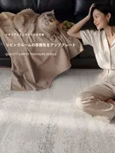 防水軽量ラグ【リビング用・イタリアンシンプルデザイン・洗濯不要】