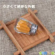 ミニ調味料瓶【ガラス製・塩・胡椒用・密閉容器】