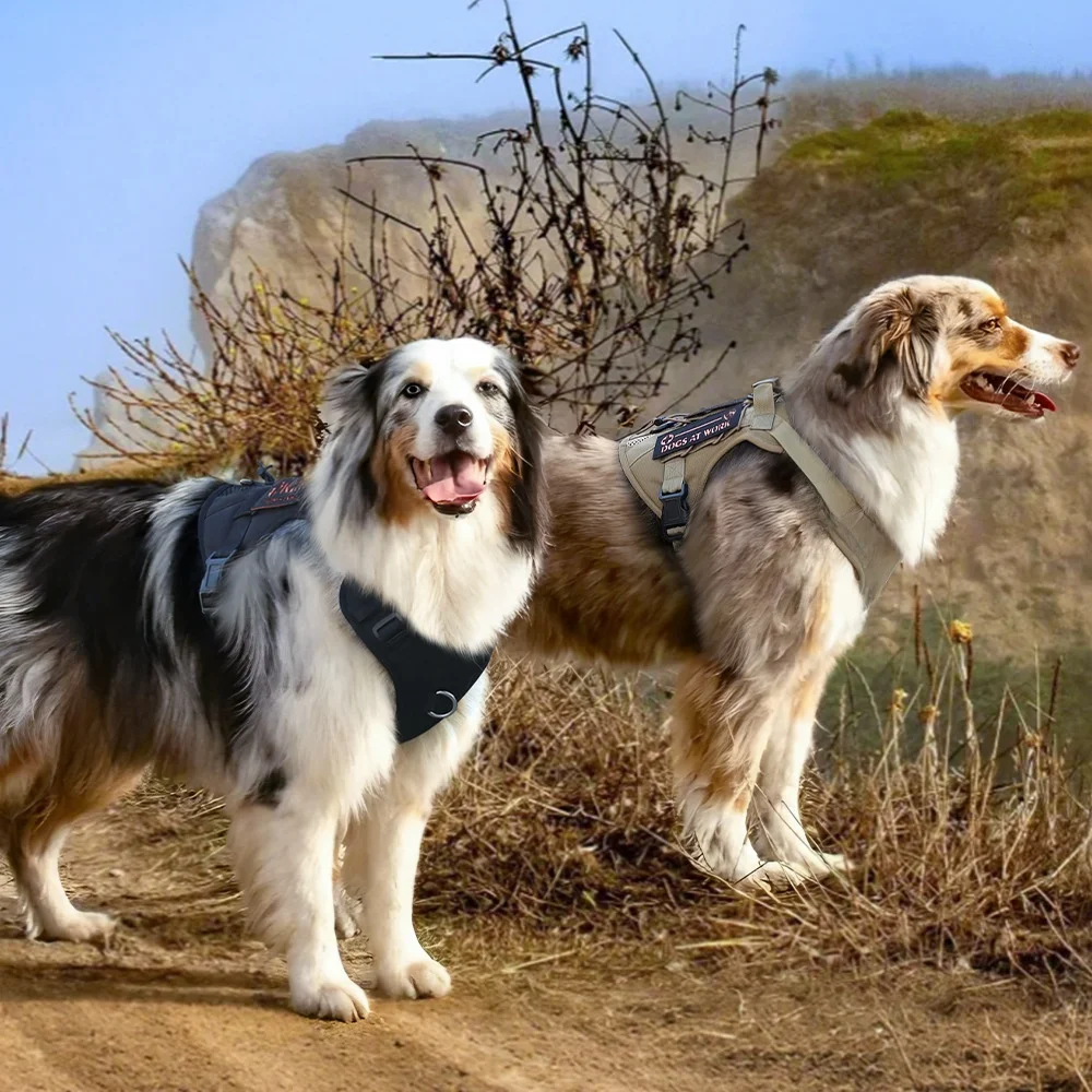 犬のお散歩グッズをコスパ良く揃える方法 - 通気性ハーネス付きリードの定義と特性